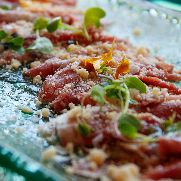 carnivora carpaccio-620