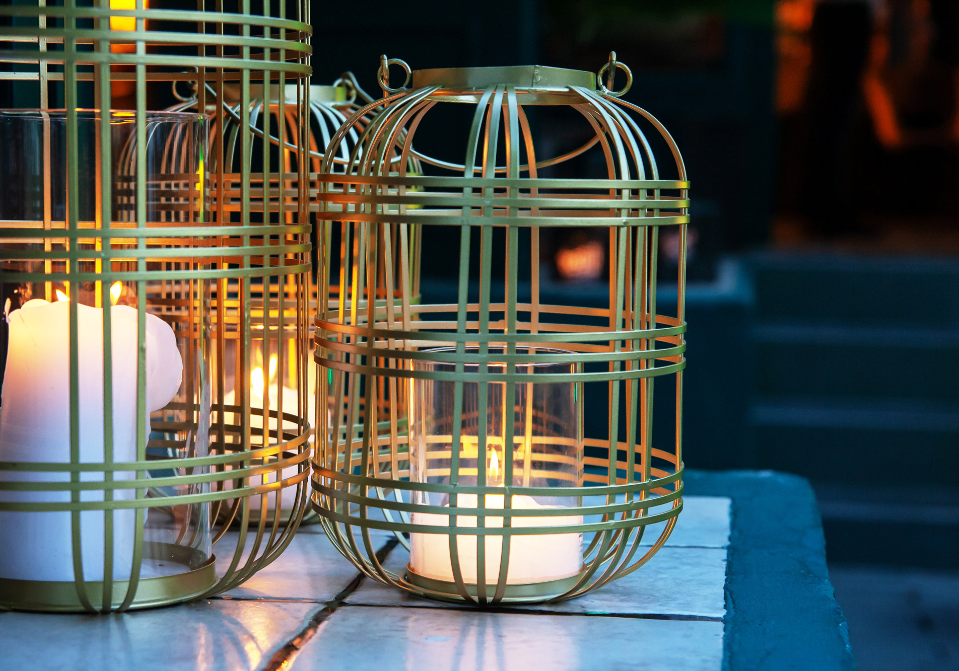 carnivora cobertizo-900