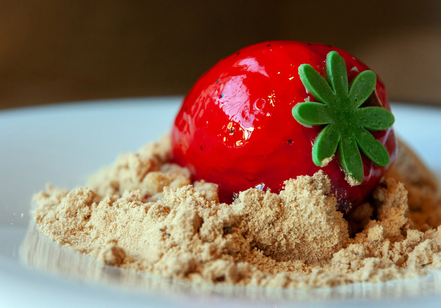 carnivora salon-2-900