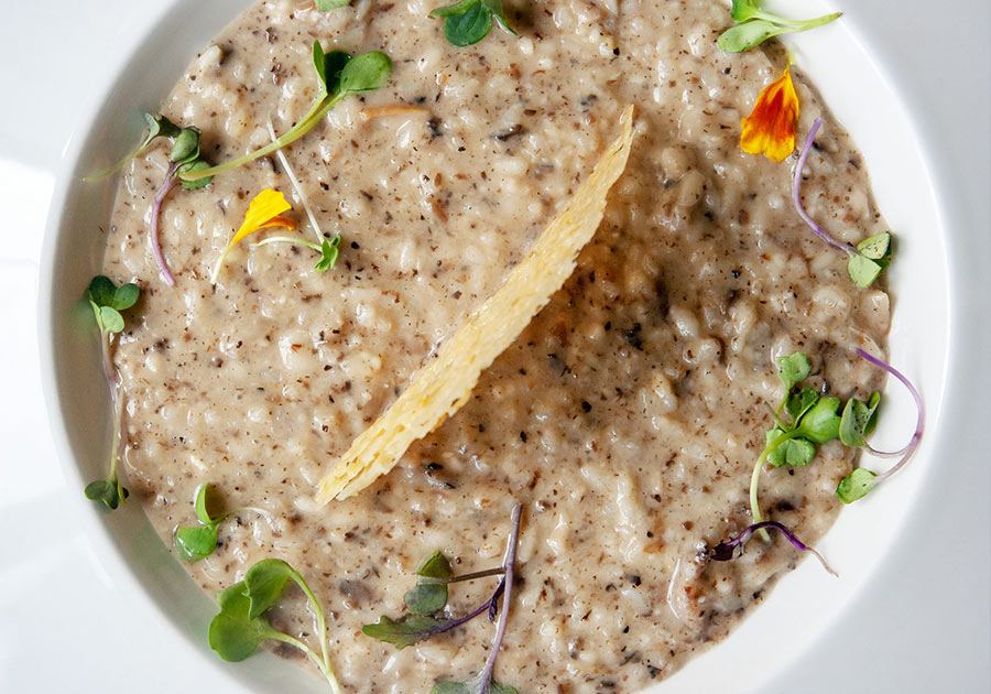 carnivora rissoto-900