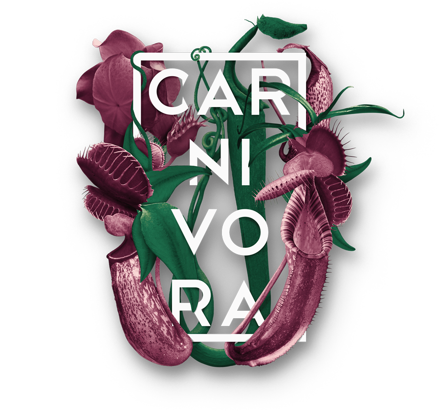 logo carnivora